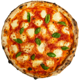 Гранде Маргарита 50 см