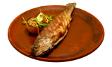 Grilled trout